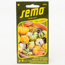 DÝNĚ okrasného GALAXY OF STARS F1 12s - FLORASYSTEM