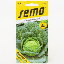 KEL HL. BLISTRU F1 pozd. 35s - SEMO | FLORASYSTEM