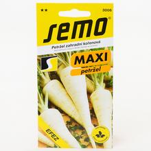 Petržel zahradní EFES - kořenový - FLORASYSTEM