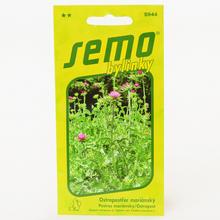 Ostropestřec mariánský 3g - FLORASYSTEM