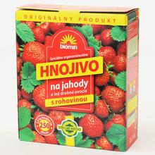 Biomin jahody 2,5kg - Granulováno | FLORASYSTEM