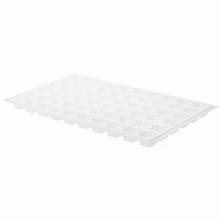 60103 PLATO 60 BUNĚK BÍLÉ - Sadbovače | FLORASYSTEM
