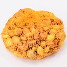 CIBULE SAD. Všec., SETTON 500g / 50 ks / 40ks - FLORASYSTEM