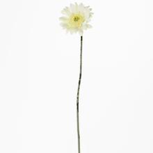 GERBERA BÍLÁ KS 45CM - Gerbera, dahl | FLORASYSTEM