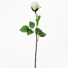RŮŽE 54cm smotáme. - FLORASYSTEM