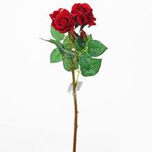 RŮŽE VIACKV.ČER. KS 37cm - FLORASYSTEM