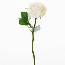 RŮŽE SMOT.KS 30CM - FLORASYSTEM
