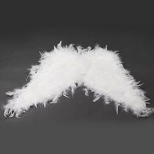 ZÁVĚS KŘÍDLA PEŘÍ 60x50cm - FLORASYSTEM