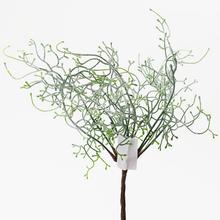 ČÁST ZELEŇ - FLORASYSTEM