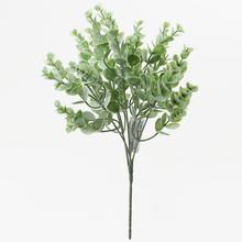 ZELEŇ EUCALYPTUS ZEL. 30cm - Zápich zeleň | FLORASYSTEM