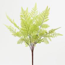 ZELEŇ kapradin 48cm - List | FLORASYSTEM