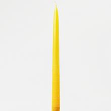 Spice T-1 KAPKA ŽL. - Kónické | FLORASYSTEM