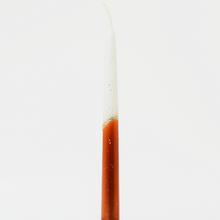 Spice 25 POL / POL MED - Kónické | FLORASYSTEM