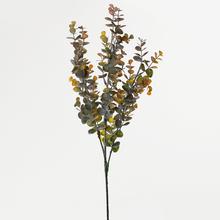 EUCALYPTUS ORANŽOVÝ 70CM - List | FLORASYSTEM