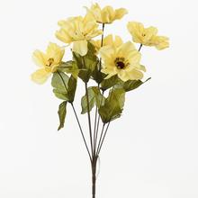 KYTICE ANEMONE PODZIM 45cm - Anemone, heleborus | FLORASYSTEM