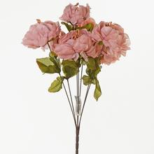 KYTICE Kamélie PODZIM 45cm - FLORASYSTEM
