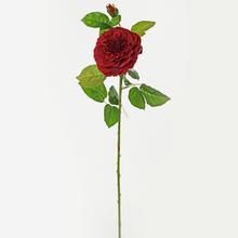 KS RŮŽE plnokvěté ČERVENÁ 68cm - FLORASYSTEM