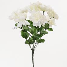 KYTICE pivoňka CREM. 16cm - Pivoňka | FLORASYSTEM