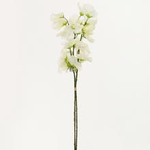 KYTICE hrachor X3 45CM CREM - Luční květiny | FLORASYSTEM