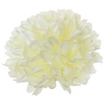 HLAVA chryzantémy 12CM CREM - Chryzantéma, jiřina | FLORASYSTEM