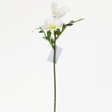 KS MAK 29cm X2 KRÉMOVÝ - FLORASYSTEM