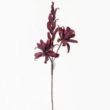 KS KVĚT PĚNA - BORDO 80cm - FLORASYSTEM