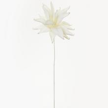 KS KVĚT PĚNA BÍLÁ 95cm - FLORASYSTEM