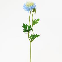 KS Scabiosa MODRÁ 41cm - FLORASYSTEM