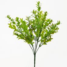 ZELEŇ LISTY ZELENÉ 35cm - FLORASYSTEM