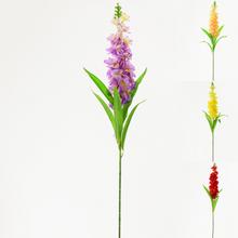 KS MATHIOLA 92cm MIX 4FARIEB - Luční květiny | FLORASYSTEM