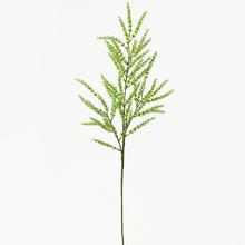 ZELEŇ 79cm - FLORASYSTEM