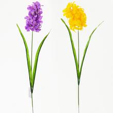 KS hyacint 52cm MIX 2 FA - Hyacint, muscari | FLORASYSTEM