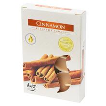 Čajová voňavých / 6 SKOŘICE / NOVÁ / - FLORASYSTEM