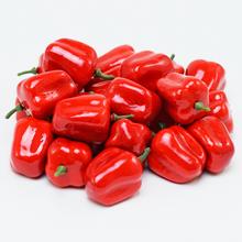 MALÁ PAPRIKA S / 100 - Plody jarné | FLORASYSTEM