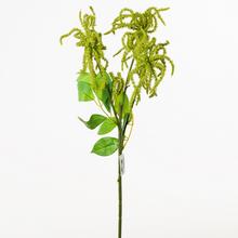 ZELEŇ 50cm - FLORASYSTEM