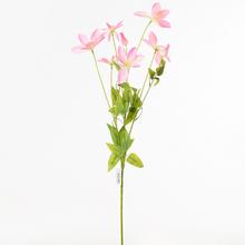 KS 8KVET RŮŽOVÁ 90cm - Luční květiny | FLORASYSTEM