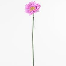 KS GERBERA RŮŽOVÁ 45CM - FLORASYSTEM