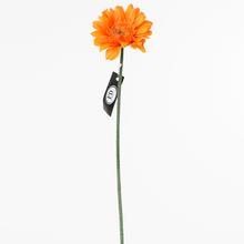 KS GERBERA ORANŽOVÁ 45CM - Gerbera, jiřina | FLORASYSTEM