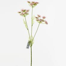 ZELEŇ RŮŽOVÁ 45cm - Luční květiny | FLORASYSTEM