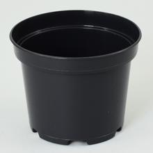 KONTEJNER 15cm, 1,5L SBX - Kontejnery | FLORASYSTEM