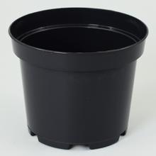 KONTEJNER 19cm, 3L SBX - Kontejnery | FLORASYSTEM