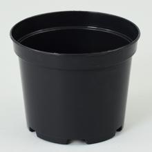 KONTEJNER 13cm, 1l SBX - Kontejnery | FLORASYSTEM