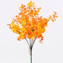 ZELEŇ EUCALYPT. ORANŽ - Zápich oranžový / červený / hnedý | FLORASYSTEM