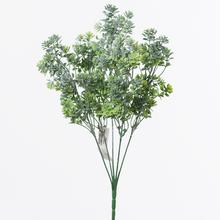ZELEŇ BARVA SIVO-ZEL - FLORASYSTEM