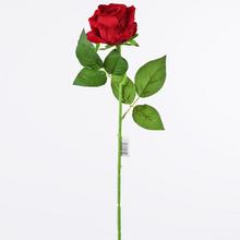 LDJ02H RŮŽE - FLORASYSTEM