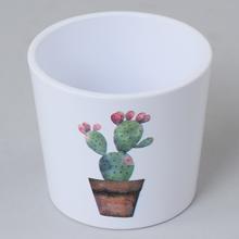 61880 OBAL KAKTEENT CACTUS GARDEN 870/09 - Obal jednobarevný | FLORASYSTEM