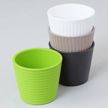 56371 OBAL NA KAKTUS expresivní 937/09 - Obal kaktus | FLORASYSTEM