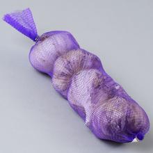 Cesnak sadbový ozimný PALIČIAK - Topaz 5ks 250g - FLORASYSTEM
