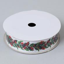 AKCIA! STUHA VIAN.PLODY 9Mx25MM - FLORASYSTEM