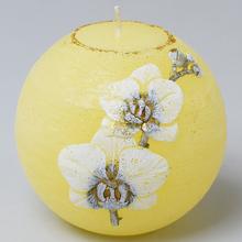 ORCHID.VIAN.GUĽA 100 ECRU - FLORASYSTEM